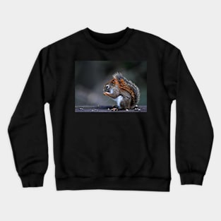 Hungry Crewneck Sweatshirt